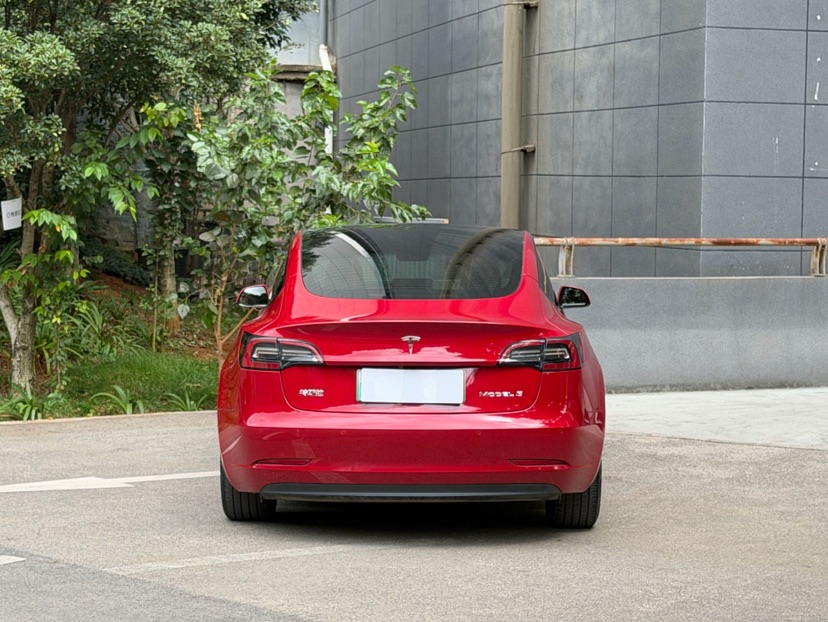 Tesla Model 3 2021 #6 Tesla Model 3 2021 car image #6