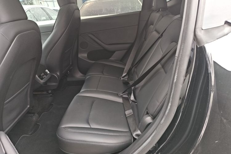 Tesla Model Y 2023 car image #17