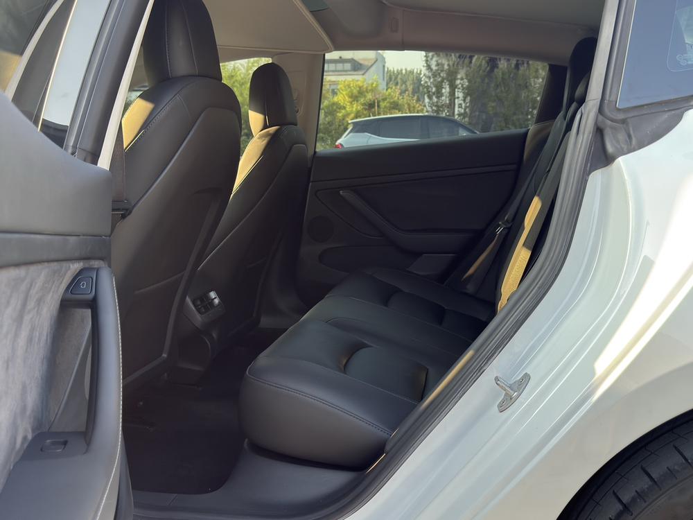 Tesla Model 3 2021 car image #13