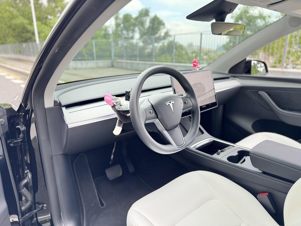 Tesla Model Y 2023 car image #16