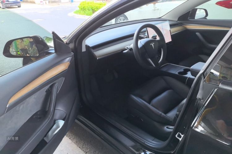 Tesla Model 3 2021 car image #18