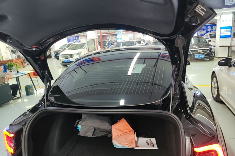 Tesla Model 3 2020 #19 Tesla Model 3 2020 car image #19
