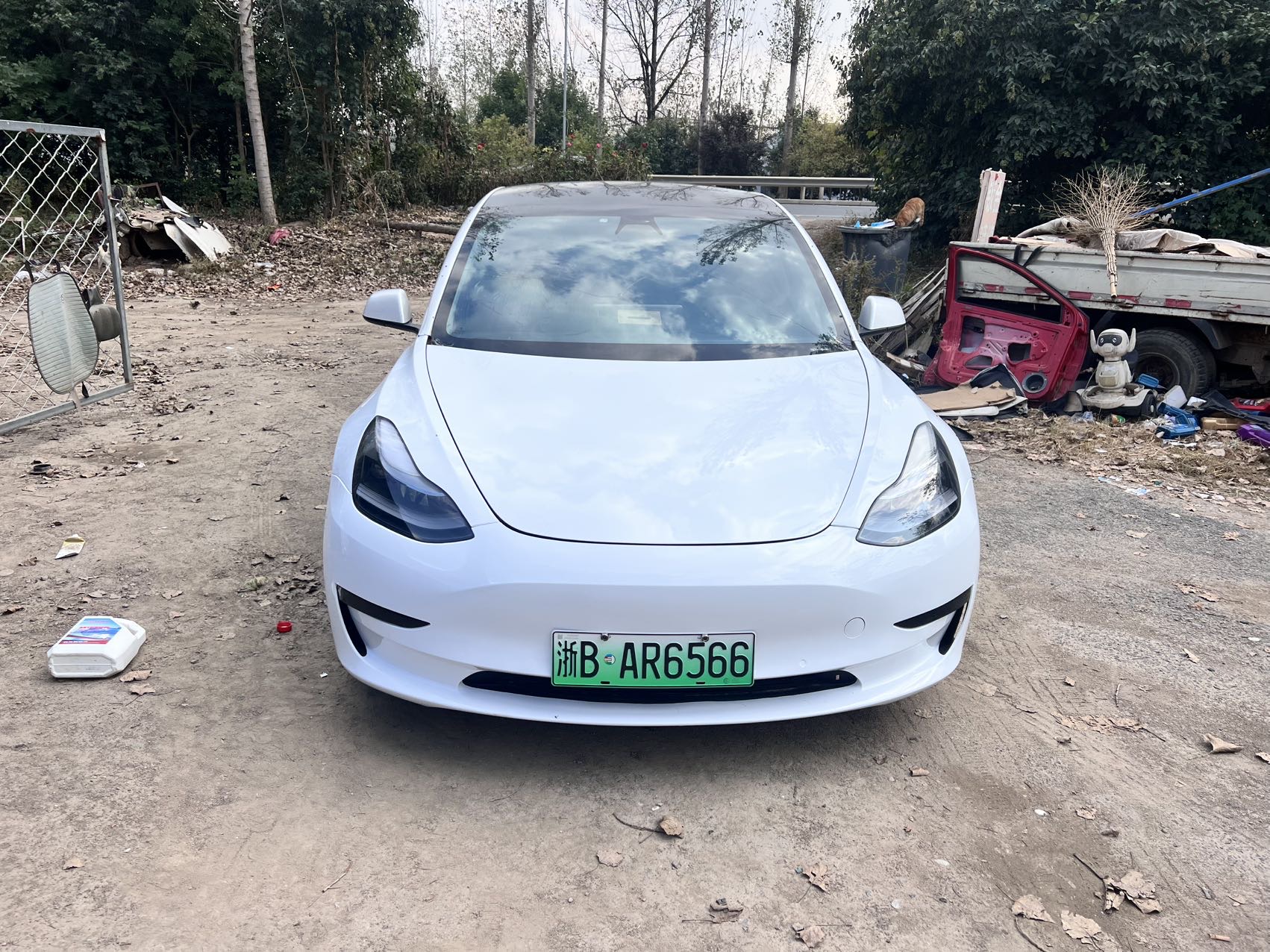 Tesla Model 3 2021 #2 Tesla Model 3 2021 car image #2