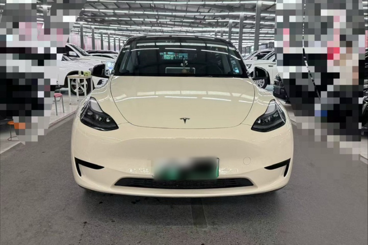 Tesla Model Y 2023 #3 Tesla Model Y 2023 car image #3