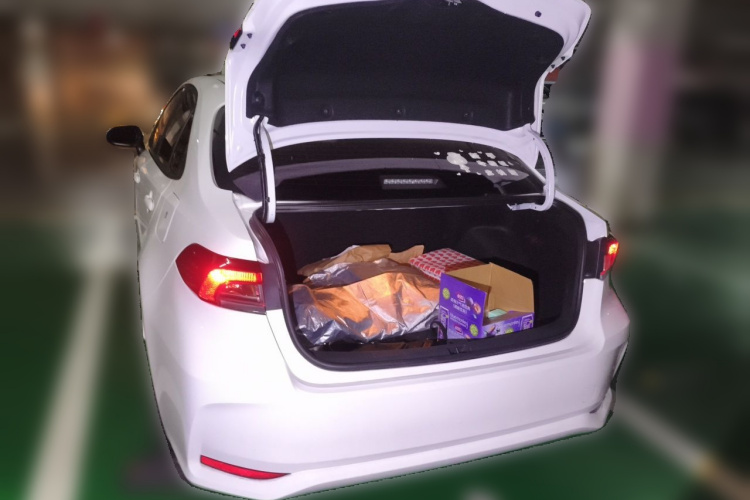 Toyota Corolla 2021 car image #17