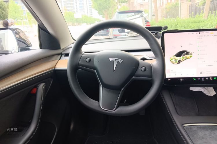 Tesla Model 3 2021 #12 Tesla Model 3 2021 car image #12