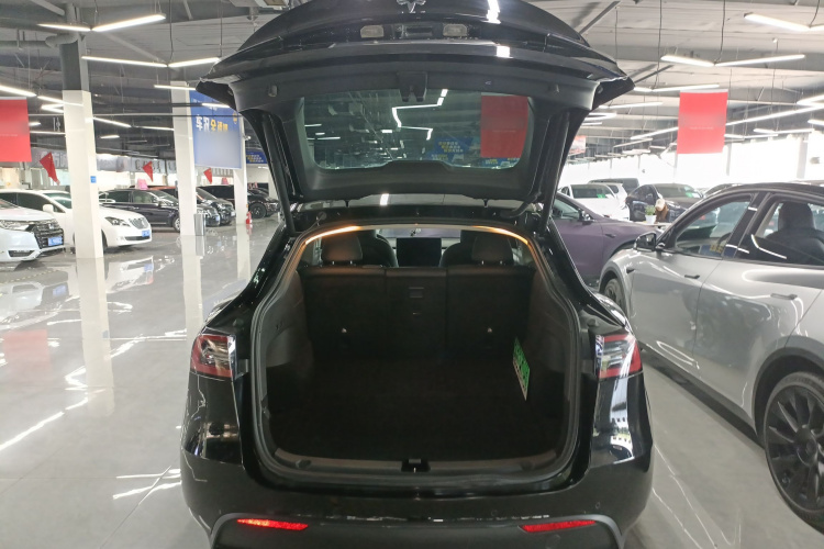 Tesla Model Y 2023 #19 Tesla Model Y 2023 car image #19