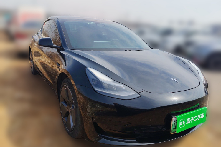 Tesla Model 3 2021 #4 Tesla Model 3 2021 car image #4