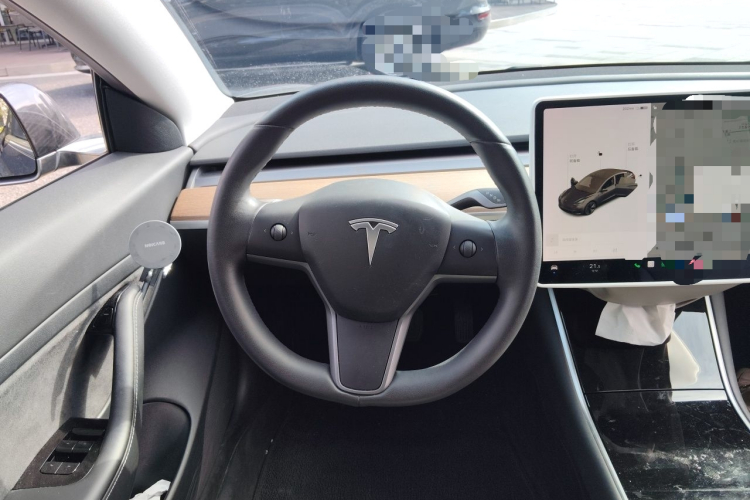 Tesla Model 3 2020 car image #11