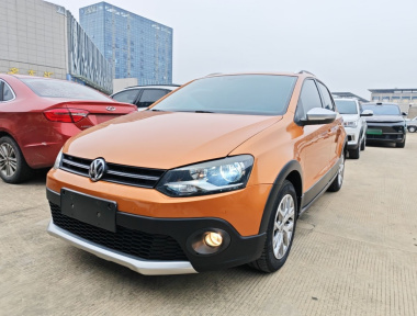Volkswagen Polo 2014 car image 
