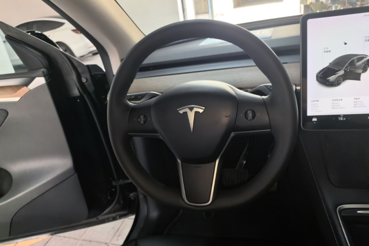 Tesla Model Y 2021 #11 Tesla Model Y 2021 car image #11