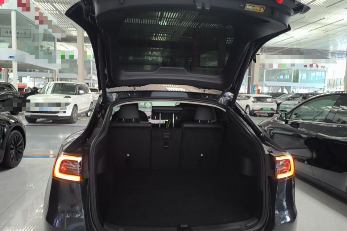 Tesla Model Y 2024 car image #5