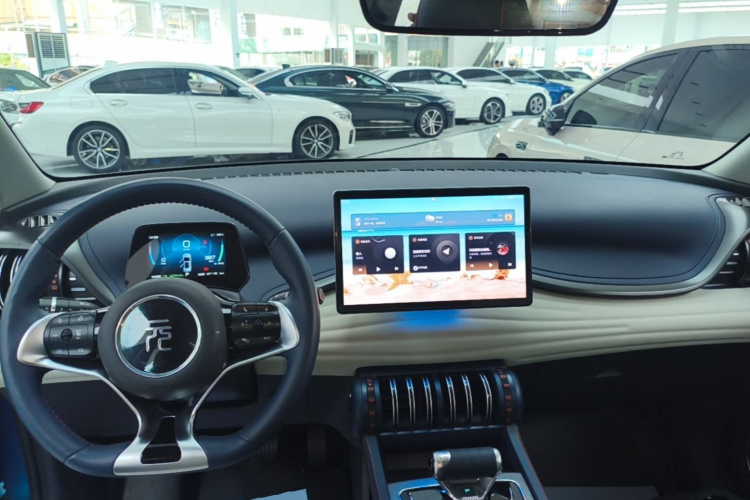 BYD Yuan Plus 2023 car image #10