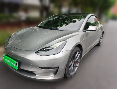 Tesla Model 3 2021 Tesla Model 3 2021 car image