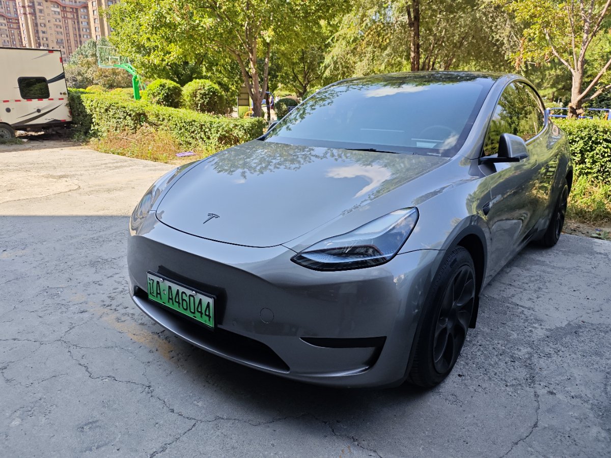 Tesla Model Y 2023 car image 