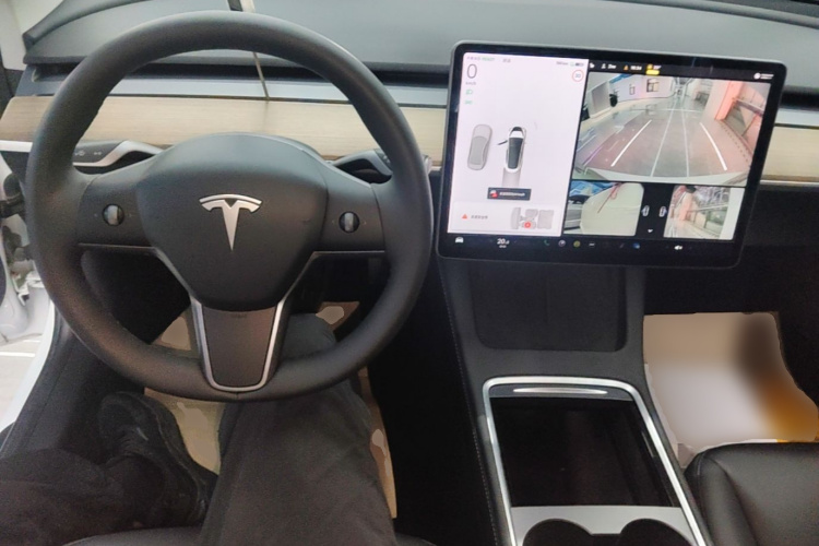 Tesla Model 3 2021 immagine di auto #10