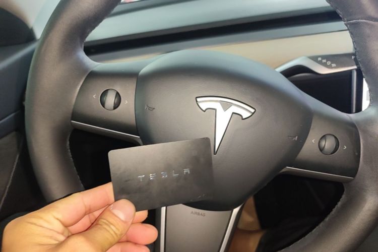 Tesla Model 3 2020 #14 Tesla Model 3 2020 immagine di auto #14