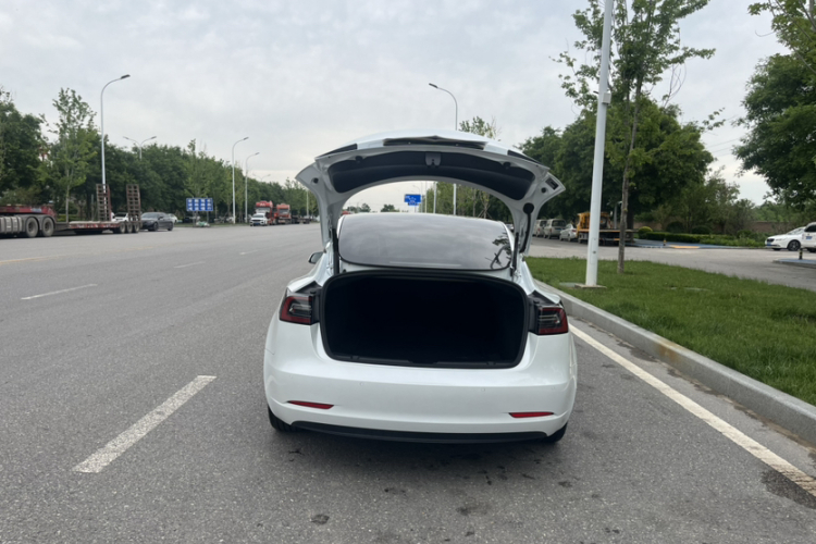 Tesla Model 3 2021 #17 Tesla Model 3 2021 car image #17