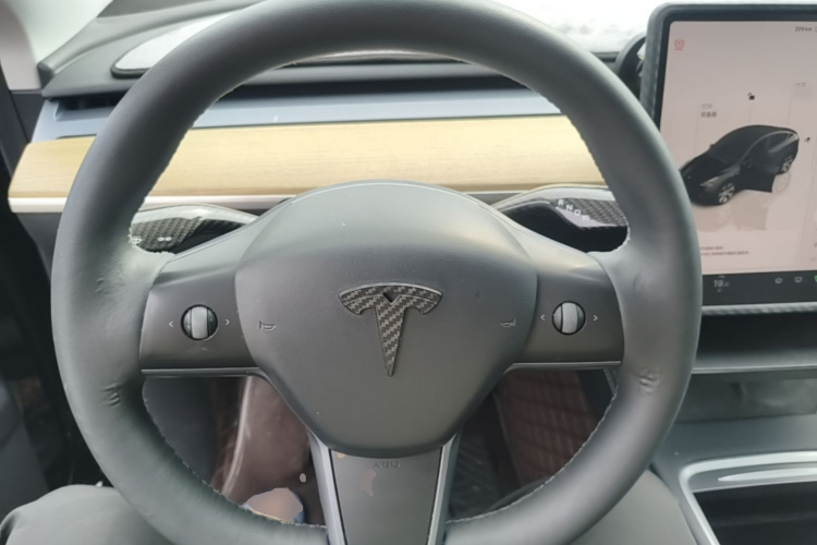 Tesla Model Y 2023 car image #11