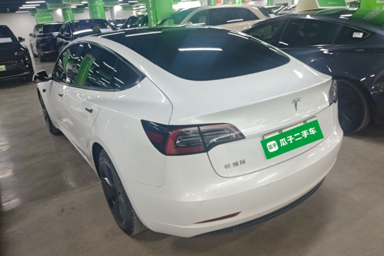 Tesla Model 3 2021 #5 Tesla Model 3 2021 car image #5