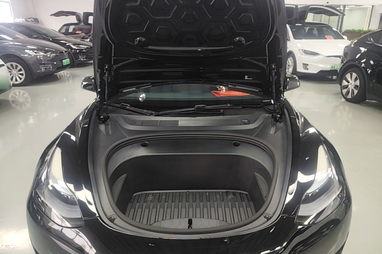 Tesla Model 3 2022 immagine di auto #20