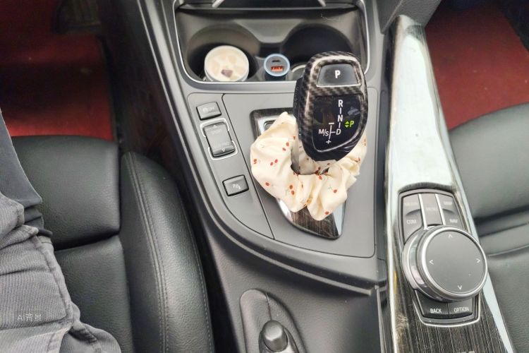 BMW 3 Series 2018 car image #16