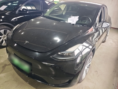 Tesla Model Y 2022 Tesla Model Y 2022 car image