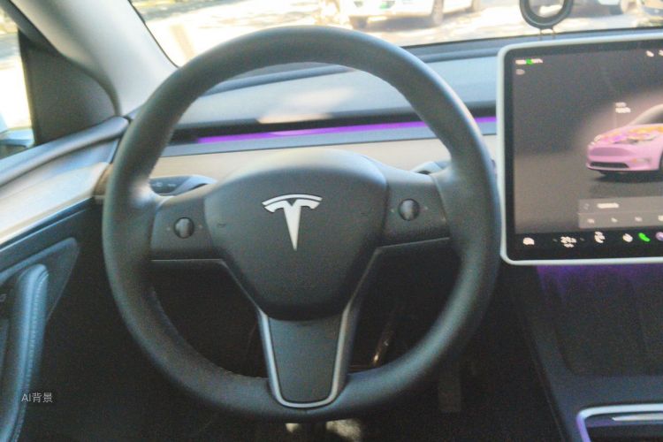 Tesla Model Y 2022 car image #12