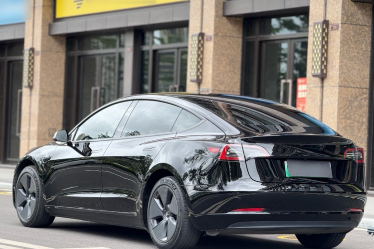 Tesla Model 3 2021 immagine di auto #7