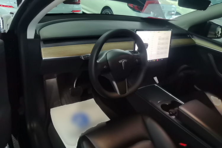 Tesla Model Y 2022 #11 Tesla Model Y 2022 car image #11