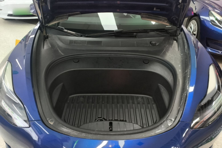 Tesla Model 3 2021 #20 Tesla Model 3 2021 imagem de carro #20