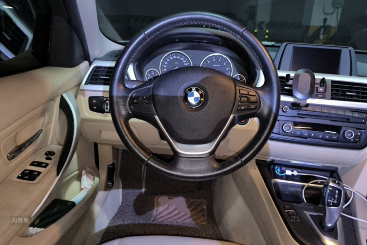BMW 3 Series 2014 car image #12