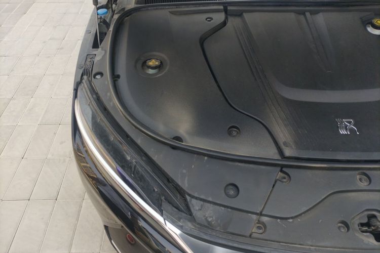 BYD Han 2021 immagine di auto #28