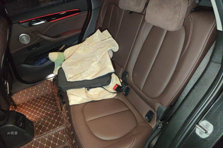 BMW X1 2020 imagen de coche #19