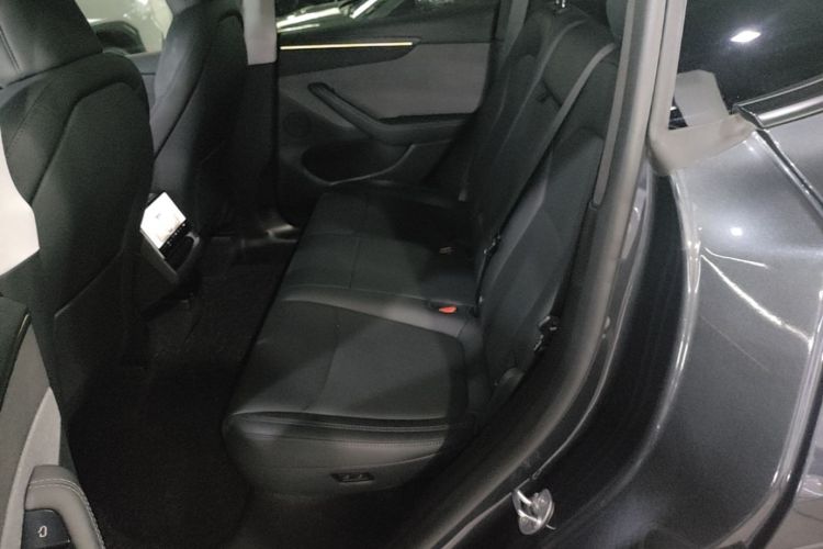 Tesla Model Y 2025 car image #17