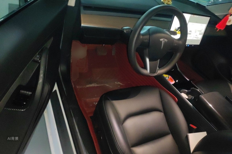 Tesla Model 3 2020 car image #18