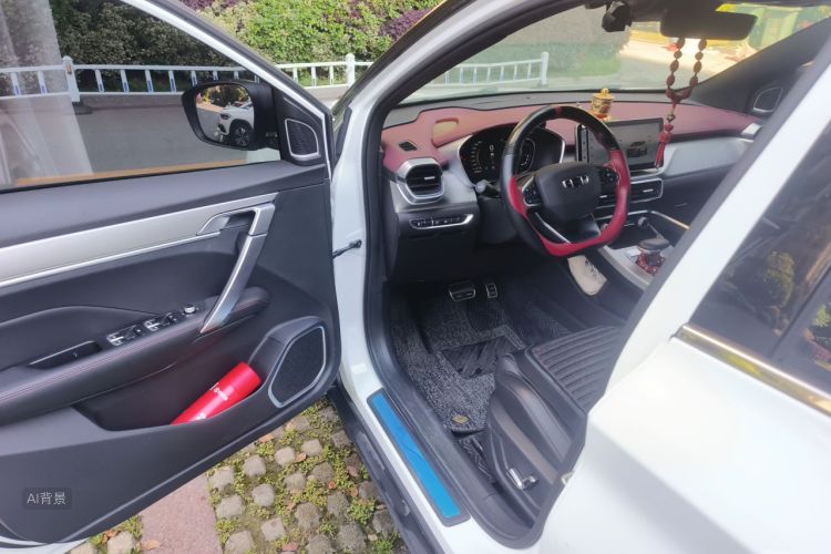 GEELY Coolray 2021 car image #18