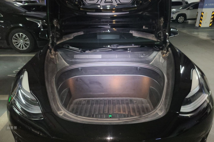 Tesla Model 3 2021 car image #22