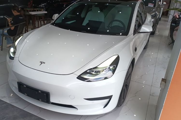 Tesla Model 3 2021 car image #2