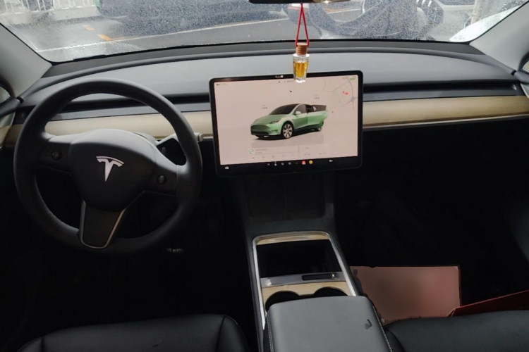Tesla Model Y 2022 car image #10