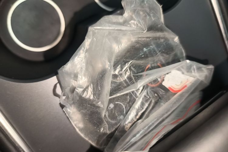 Tesla Model 3 2021 car image #14