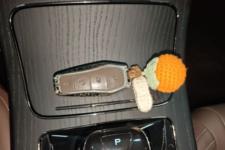 BYD Han 2022 car image #9