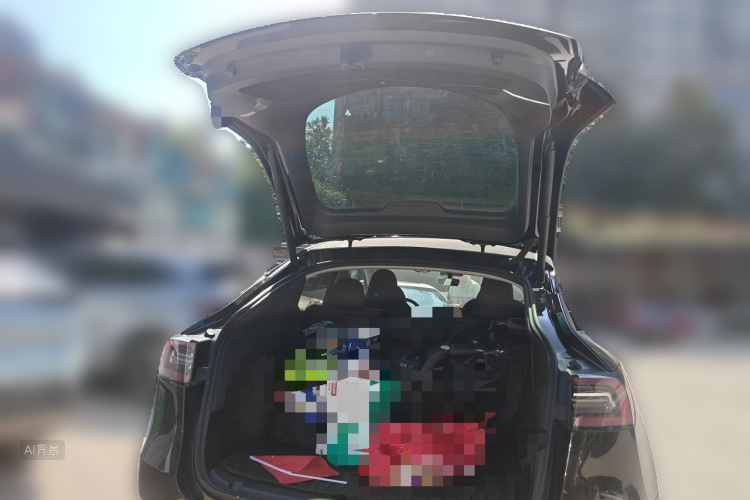 Tesla Model Y 2023 immagine di auto #21