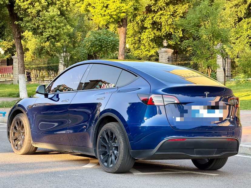 Tesla Model Y 2021 car image #6