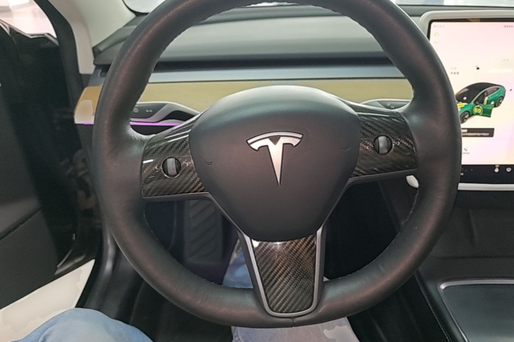 特斯拉 Model 3 2021 汽车图片 #11