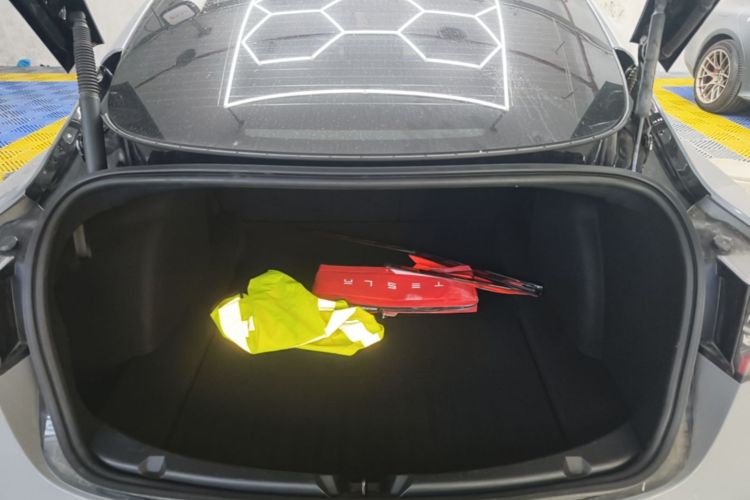 Tesla Model 3 2021 #19 Tesla Model 3 2021 immagine di auto #19
