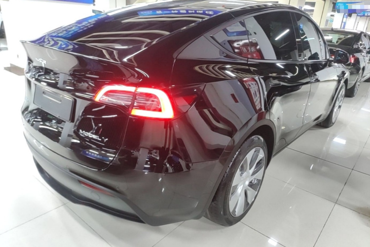 Tesla Model Y 2021 car image #7