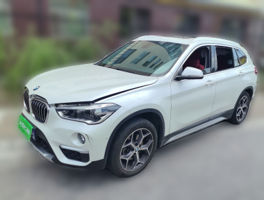 BMW X1 2019 car image 