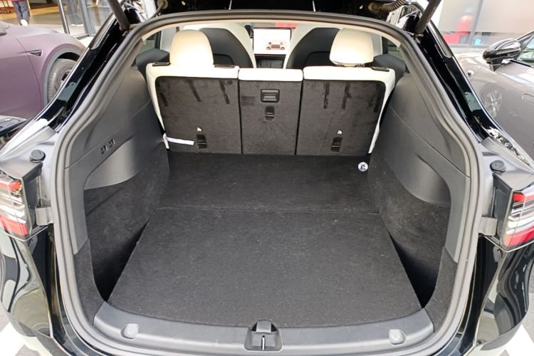 Tesla Model Y 2021 car image #19