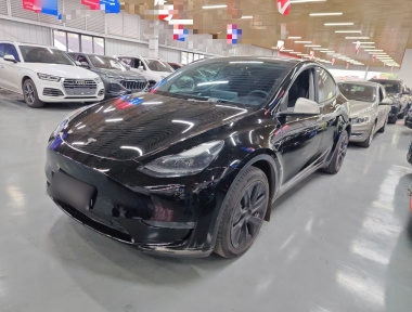 Tesla Model Y 2023 car image 